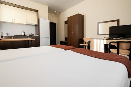 Стандартный 1-комнатный (с кухонной зоной)